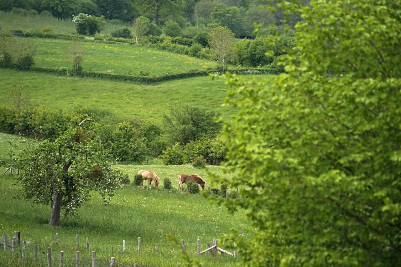 Gite Du Jardin Theux Zewnętrze zdjęcie