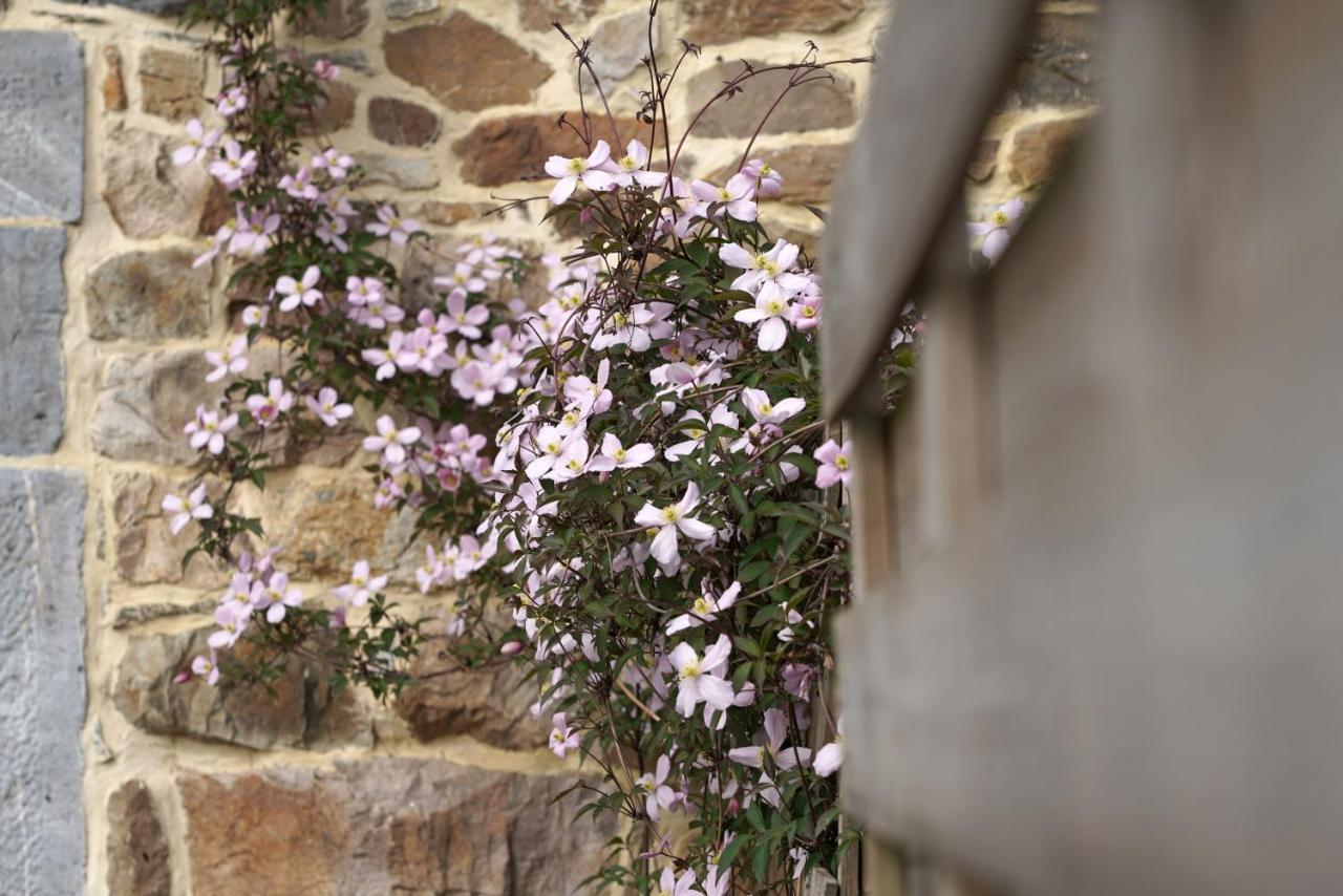 Gite Du Jardin Theux Zewnętrze zdjęcie