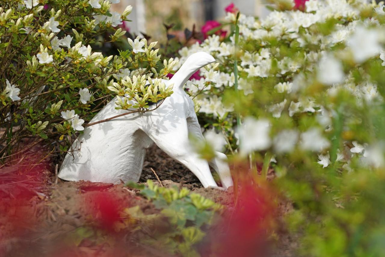 Gite Du Jardin Theux Zewnętrze zdjęcie
